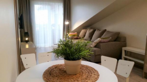 Malūno Vilos apartamentai centre, Palanga